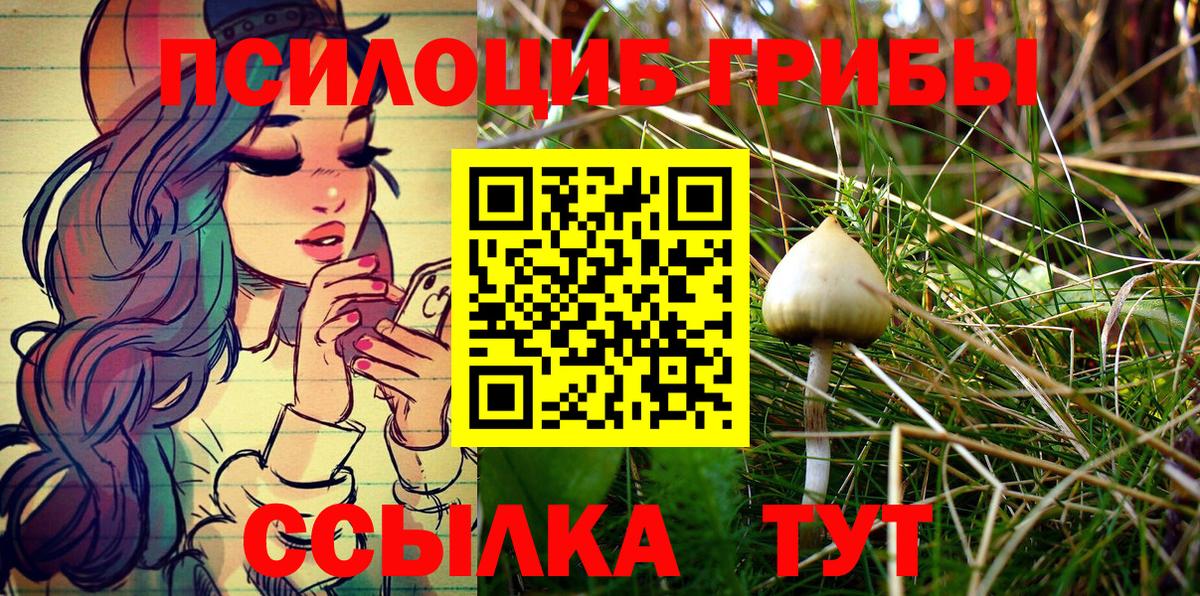 Россия  Псилоцибиновые грибы Cubensis  Псилоцибиновые грибы GOLDEN TEACHER  Вход с VPN 