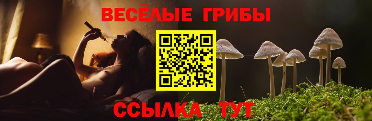 Галлюциногенные грибы мухоморы Россия