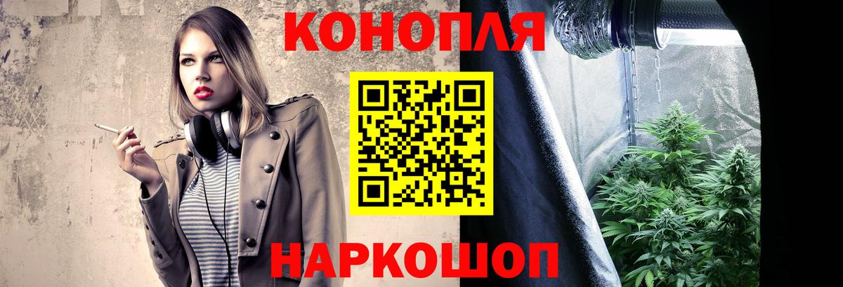 Бошки марихуана план Россия